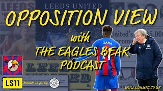LS11 Extra: Opposition View - Crystal Palace with The Eagles Beak Podcast
