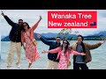 South Island Trip || Day2 || Wanaka Tree || ​⁠@PaulShahNP  || Family || Roshani shah vlog