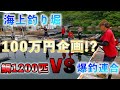 【釣り堀・水宝】鯛1200匹放流！！釣り職人6人で、はたして一体何匹釣れるのか！？