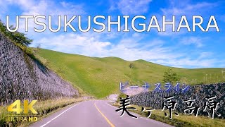 【長野ドライブ】Driving Above Cloud - Utsukushigahara, Nagano Prefecture - 4K