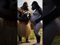 loving gorilla family amidst birds songs nature animals life love funny happy trending