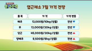 영농길라잡이- 2023년7월호 엽근채소관측