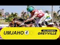 20241013 isiZulu Hollywoodbets Greyville Race 4 won by AMIGO