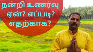 how gratitude can change your life | நன்றியுணர்வு ஒரு ஆற்றல் | Ajith | better life