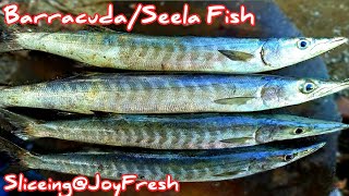 ||துண்டில் சீலா மீன் வெட்டும் காட்சி||Amazing Barracuda fish cutting @Kasimedu fish market||Joyfresh