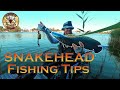 Snakehead Fishing Tips: Lures, Techniques, and More; 