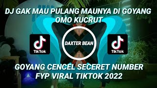 DJ GAK MAU PULANG MAUNYA DI GOYANG OMO KUCRUT x GOYANG CENCEL SECERET NUMBER FYP VIRAL TIKTOK