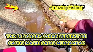 Sambaran tak terduga,tepat di depan mata || Amazing Fishing