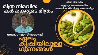 മിത്ര നിമവിര - കർഷകരുടെ മിത്രം Mithra Nima vira  / cardamom - D Flowers VLog by Jijo Rajakumari -