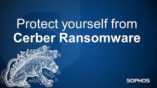 Watch Cerber Ransomware and RIG Exploit Kit in action and learn how Sophos stops it