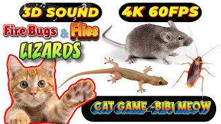 CAT GAMES TOM TV \u0026 BiBi | Ultimate Compilation Catching The LIZARDS, Flies, FireBugs🦎11 HOUR🦎Vol 136