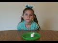Famous Marshmallow Test