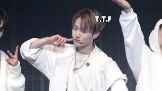 241215 템페스트 혁 - taste the feeling  / t-our in japan 티아워 재팬 tempest hyuk 테더필