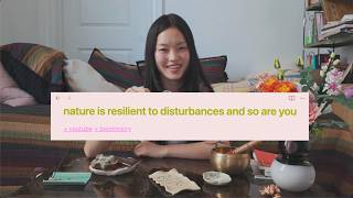 lessons from biomimicry: resilience and diversification