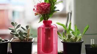 Samsung flower vase fire Estuguisher