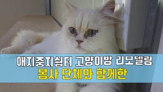 애지중지쉼터 고양이방 리모델링