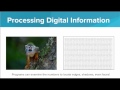 Data -  Getting Started