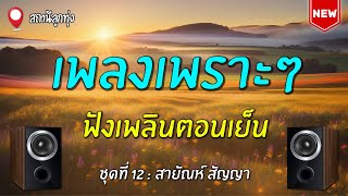 เพลงเพราะฟังเพลินตอนเย็น ชุดที่ 12 | สายัณห์ สัญญา