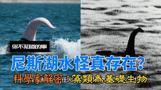 【你不知道的事】尼斯湖水怪真存在？科學家解密：藻類為基礎生物｜三立娛樂星聞