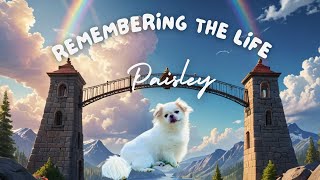 Over the Rainbow Bridge (Tribute to Paisley)