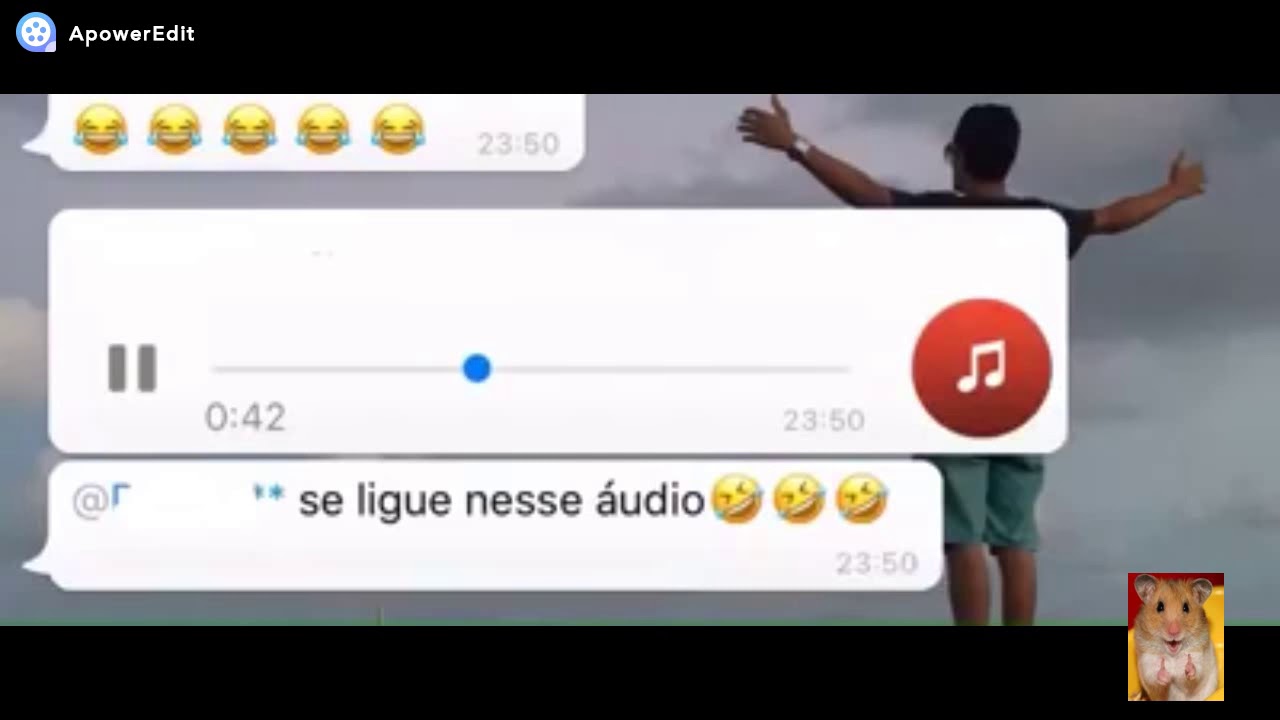 áudios Engraçados Do Whatsapp 12 Youtube