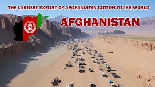 The largest production and export of Afghanistan cotton to the world