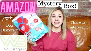 WiBargain Amazon Mystery Box! 10 Items for $28! The Strangest Box I've Ever Opened...