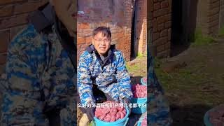 Amazing pink velvet fruits slice//Amazing toy wood work//#shorts #viral #trendingshorts #ytshorts