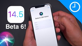 iOS 14.5 beta 6 changes/features - New Siri voices!