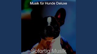 Momente - Eifrig Einsame Hunde