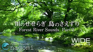 【自然音】川のせせらぎ・鳥のさえずり Part2｜勉強・睡眠｜自然の音で勉強に集中｜川の音・森の音でリラックス｜Nature Sounds