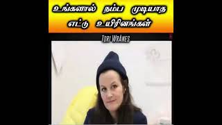 உங்களால் நம்பமுடியாத எட்டு உயிரினங்கள் | #amazingfacts | #interestingfacts | #facts | #trending