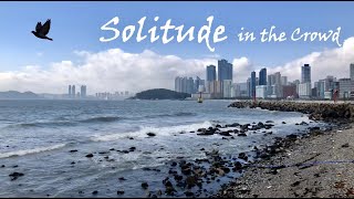 Solitude in the Crowd – A walk along Haeundae Beach