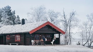 Settling into the new Cabin | #32 Life in Norway