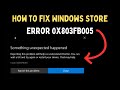 How to Fix Windows Store Error 0x803FB005 on Windows 11