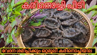 കരിനൊച്ചി പിടി || Karinochi pidi || Vitex negundo