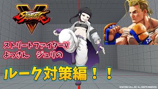 【スト5】キャラ対策動画　よっさんジュリのルーク対策編！