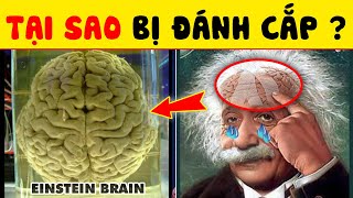 13 Câu Đố Bí Ẩn Về Não Bộ 99% Chưa Biết Giúp Bạn Mở Khoá Bí Mật Sức Mạnh Thông Minh | Nhanh Trí