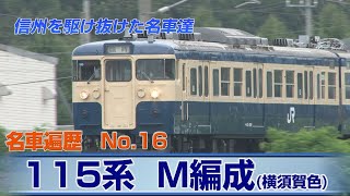 信州を駆け抜けた名車達　No 16　115系 M編成横須賀色