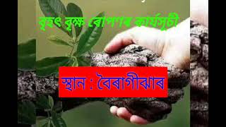 বিশ্ব পৰিবেশ দিৱস পালন#world environment day