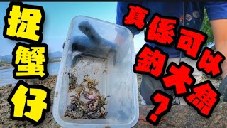 捉蟹仔去釣魚 真的可以嗎？#fishing #魚餌 #香港釣魚 #前打 #磯釣