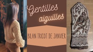 #26 - Bilan tricot janvier : dernier cadeau de Noël, oiseau fripé et petites fées qui avancent !