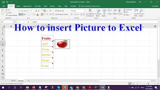 How to insert picture into excel. (Excel, Microsoft office) របៀបបញ្ចូលរូបភាពទៅក្នុង Excel.