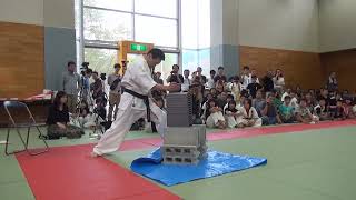 Hanshi Daigo Oishi Breaking tiles | 大石代悟最高師範　演武　試し割り　第１０回岐阜県空手道選手権大会