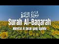 Surah Al Baqarah Dengan Suara Indah Membuat Hati Tenang