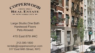 415 East 87 Apt 4C