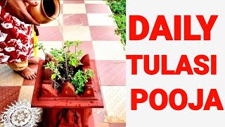 Tulsi Pooja | തുളസി പൂജ | Thulasi Puja at Home in Malayalam | Daily Tulasi Puja Explained |