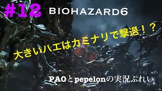 BIOHAZARD6 ＃12 chapter 5ー2 シモンズ最終形態と対戦！