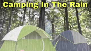 Camping in the Rain.! Heavy Rainstorm, Forest, Tent