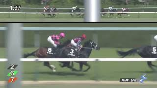 アザレア賞［2023.4.1 阪神第9R/2400m 芝］